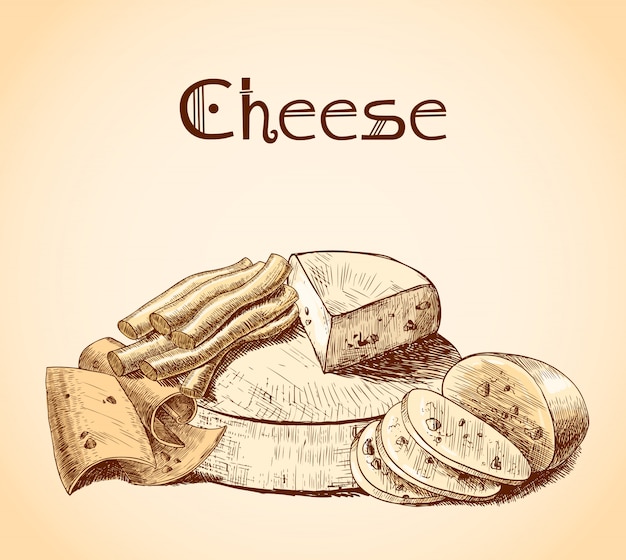 Cheese sketch illustration