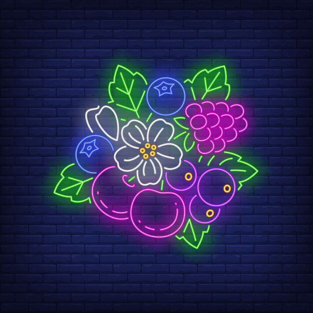 Cherries, raspberry, blueberries, flower and leaves neon sign. 