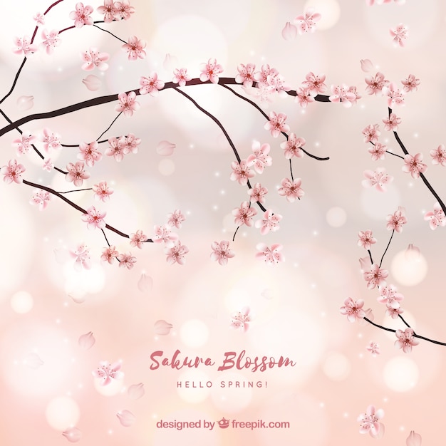 Free Vector cherry blossom background in blurred style