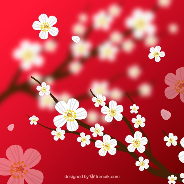 Cherry blossom background in blurred style