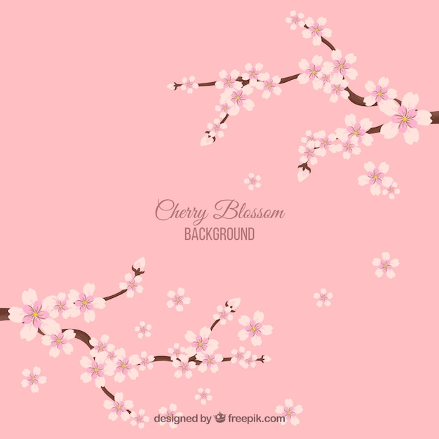 Cherry blossom background in flat style