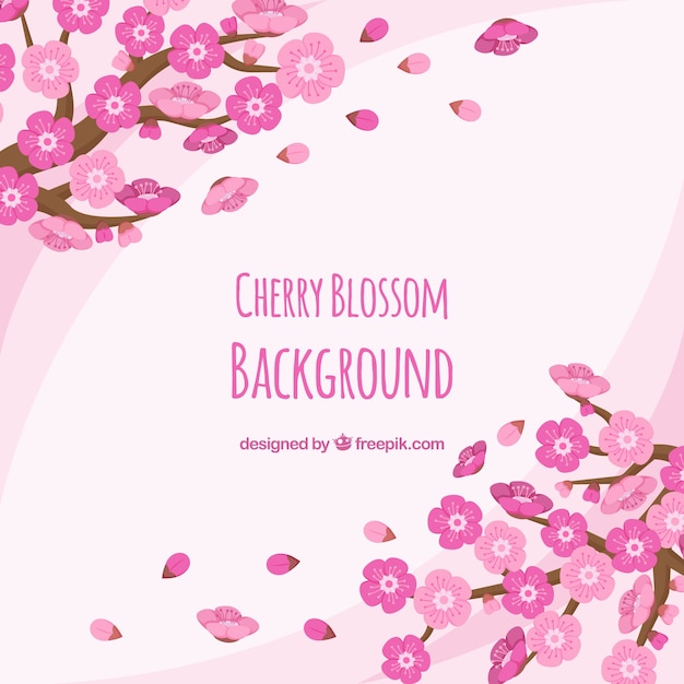 Cherry blossom background in flat style