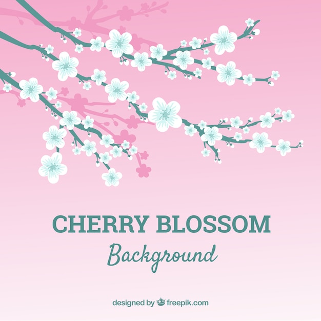 Free Vector cherry blossom background in flat style