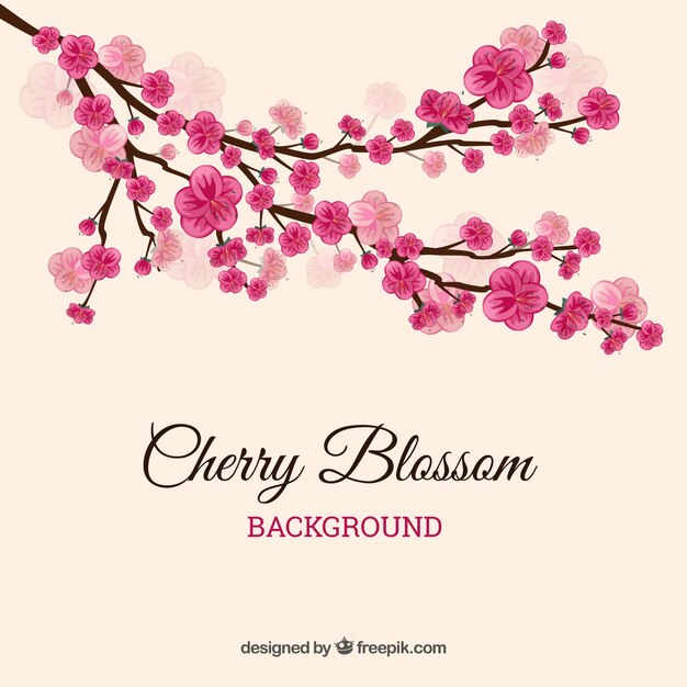 Cherry blossom background in flat style