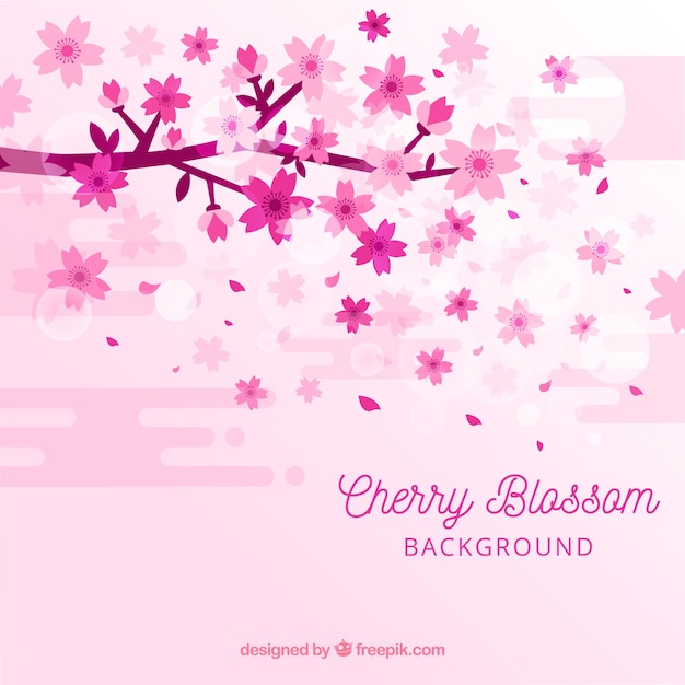 Free Vector cherry blossom background in flat style