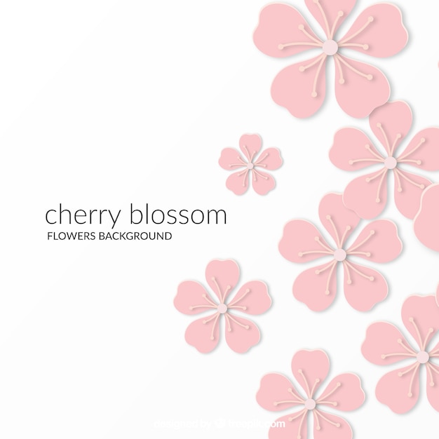 Cherry blossom background in flat style