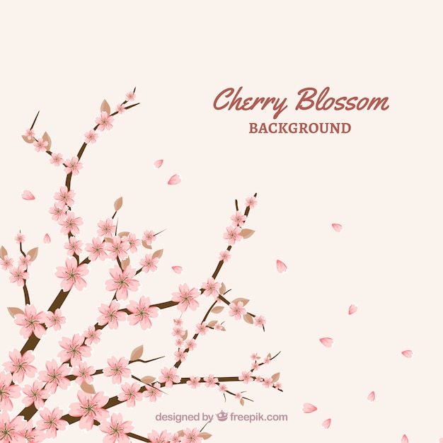 Free Vector cherry blossom background in flat style