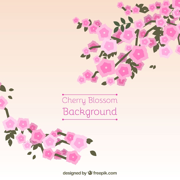 Free Vector cherry blossom background in flat style 