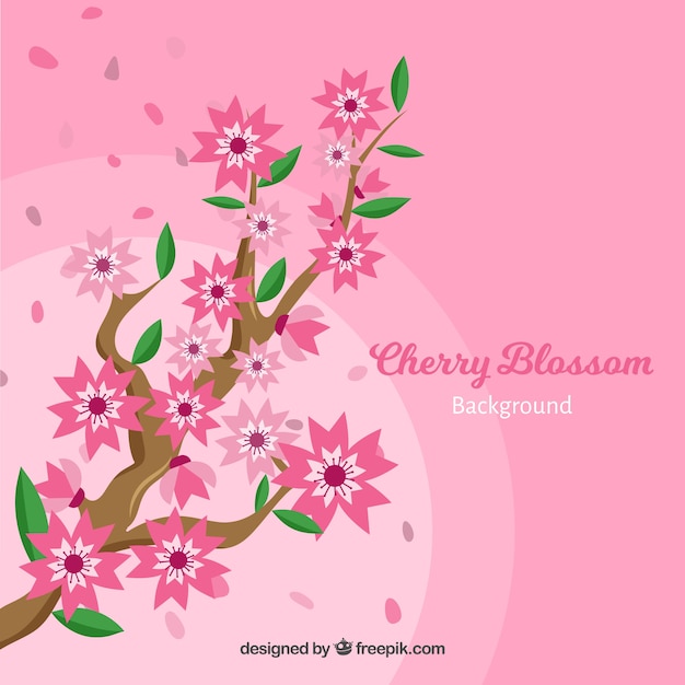 Free Vector cherry blossom background in flat style