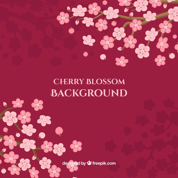 Cherry blossom background in flat style