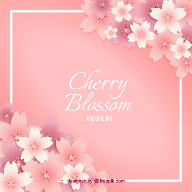 Cherry blossom background in gradient colour