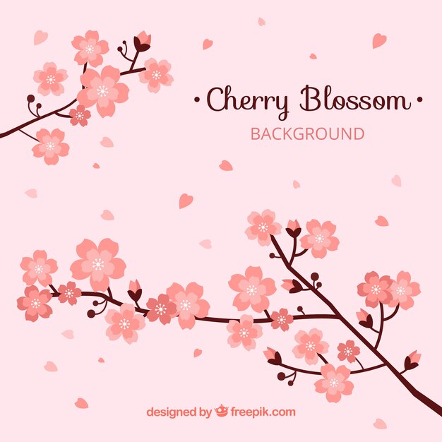 Cherry blossom background in hand drawn style