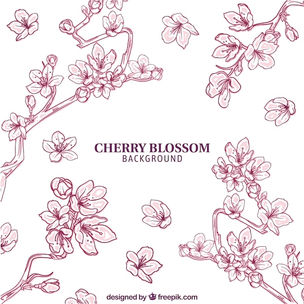 Cherry blossom background in hand drawn style