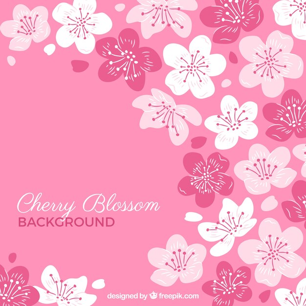 Cherry blossom background in hand drawn style