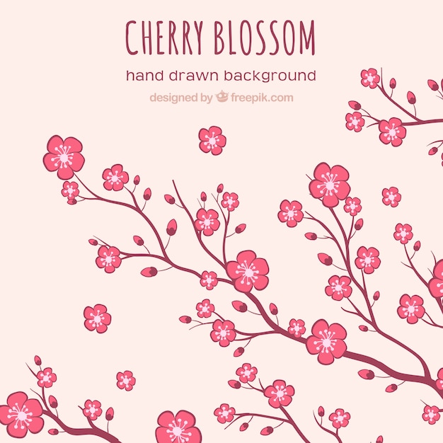 Cherry blossom background in hand drawn style