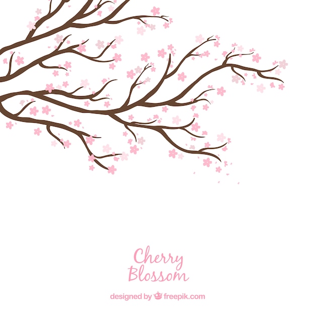 Free vector cherry blossom background in hand drawn style