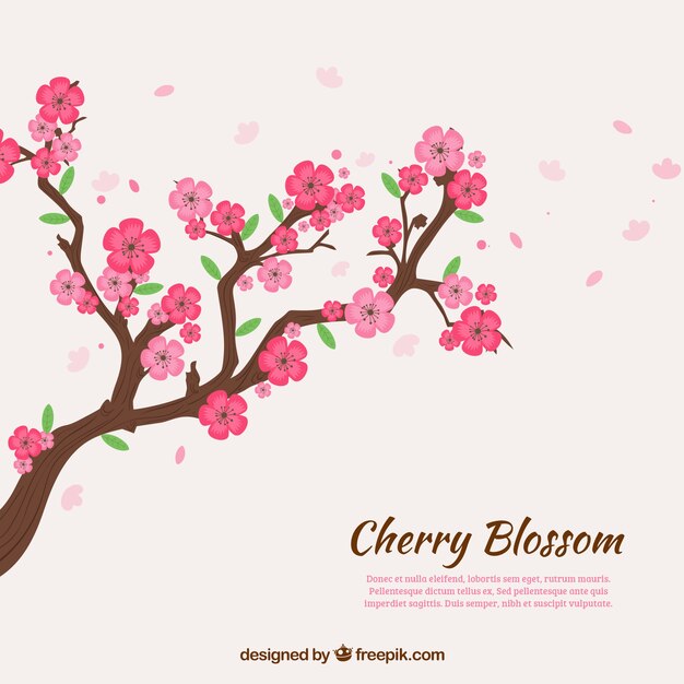 Cherry blossom background in hand drawn style