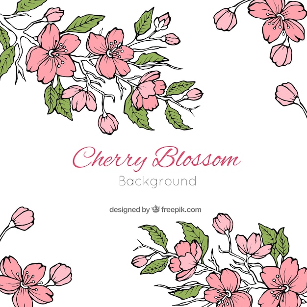 Free vector cherry blossom background in hand drawn style