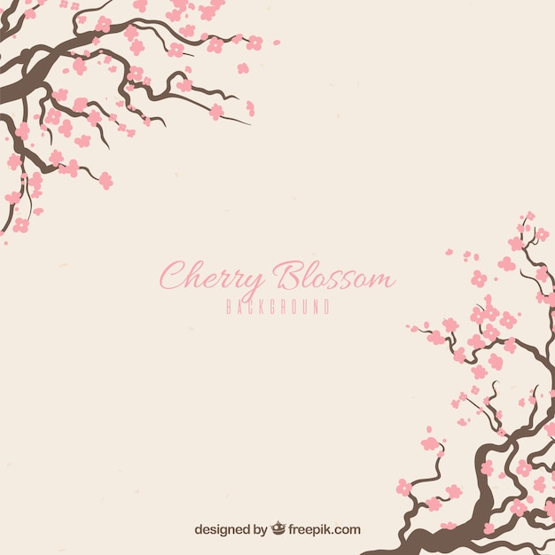 Cherry blossom background in hand drawn style