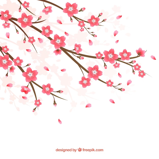 Cherry blossom background in hand drawn style