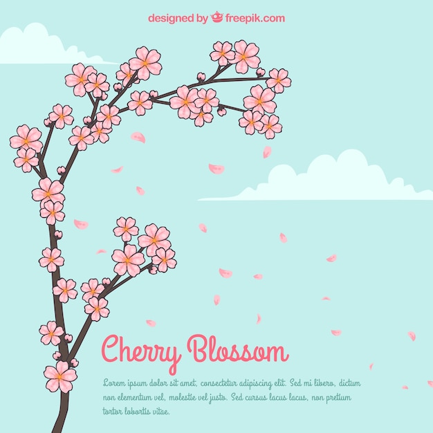 Free Vector cherry blossom background in hand drawn style