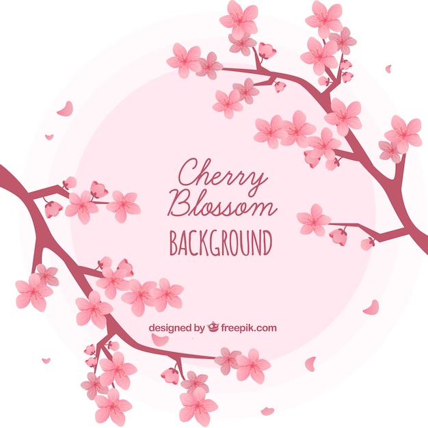 Cherry blossom background in hand drawn style