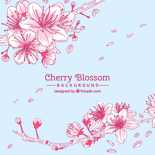 Free Vector cherry blossom background in hand drawn style