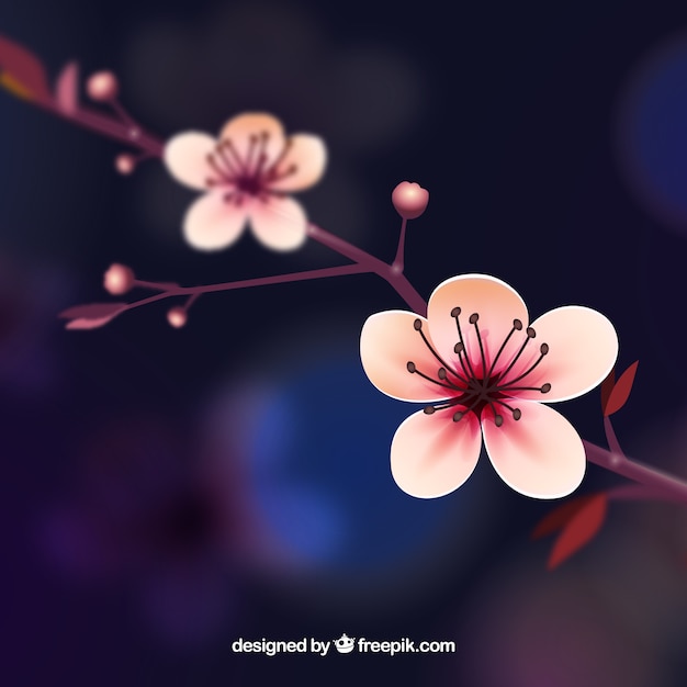 Free Vector cherry blossom background in realistic style