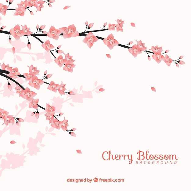 Cherry blossom background in realistic style