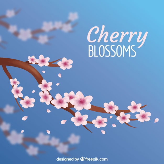 Free Vector cherry blossom background in realistic style