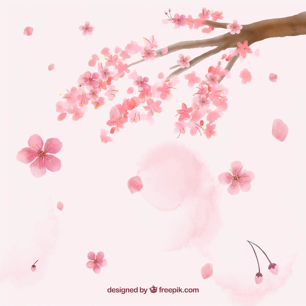 Cherry blossom background in watercolor style