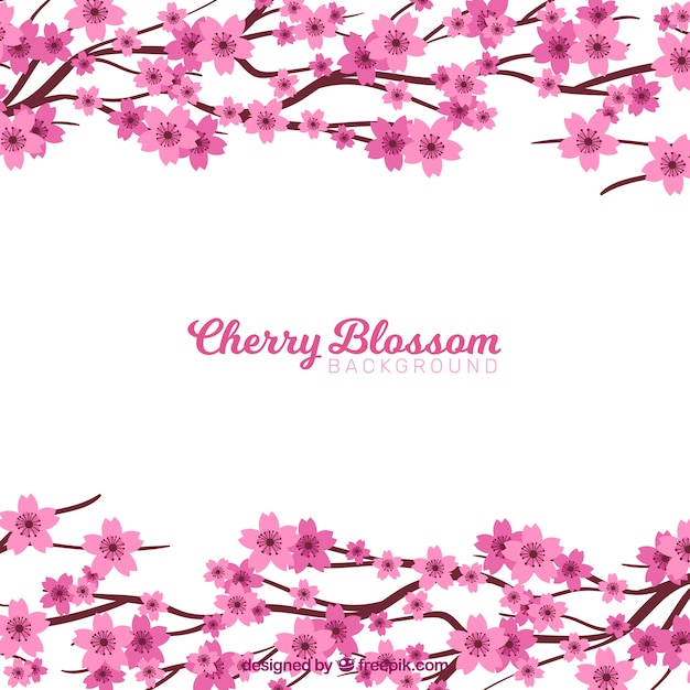 Cherry blossom background with branches on top and bottom