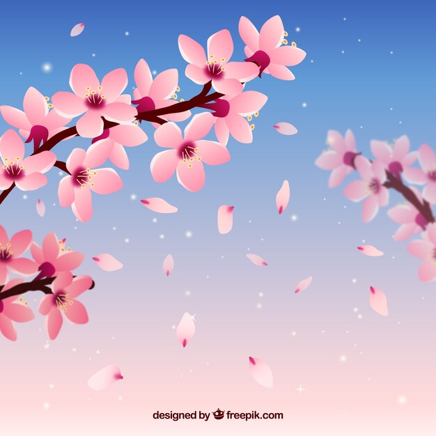 Cherry blossom background with branches