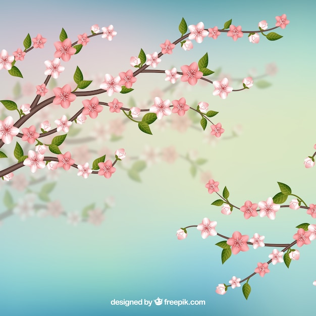 Cherry blossom background with branches