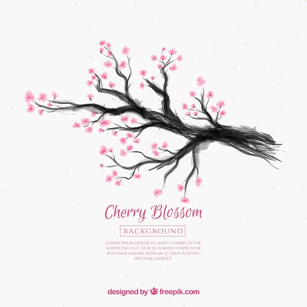 Free Vector cherry blossom background with ink drawing