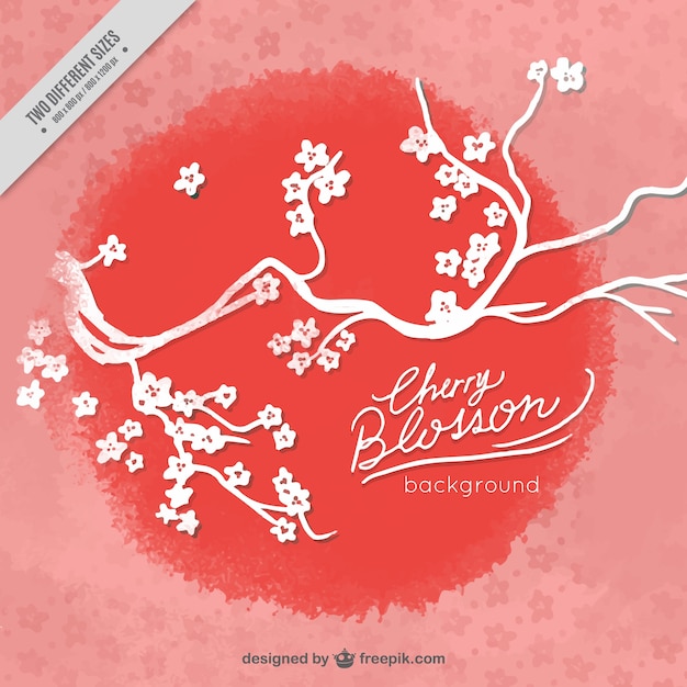 Free Vector cherry blossom background with red circle