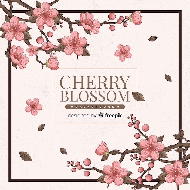 Cherry blossom background