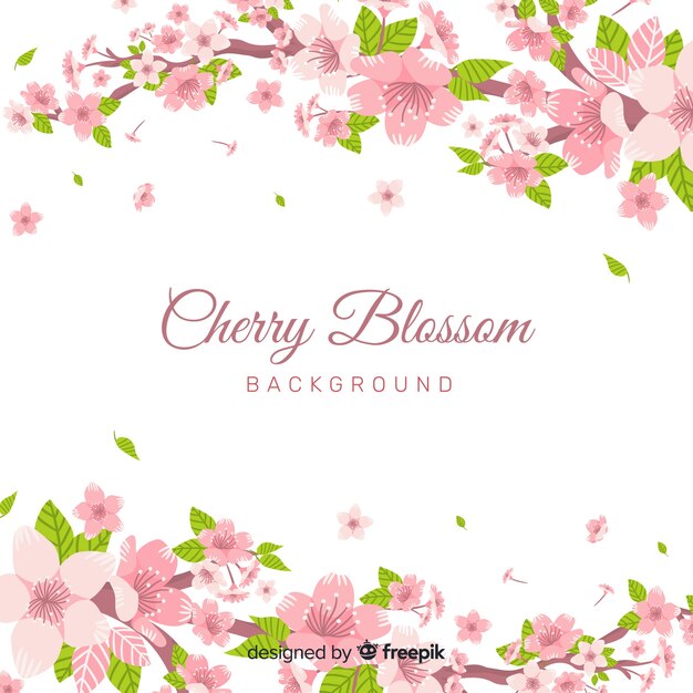 Cherry blossom background