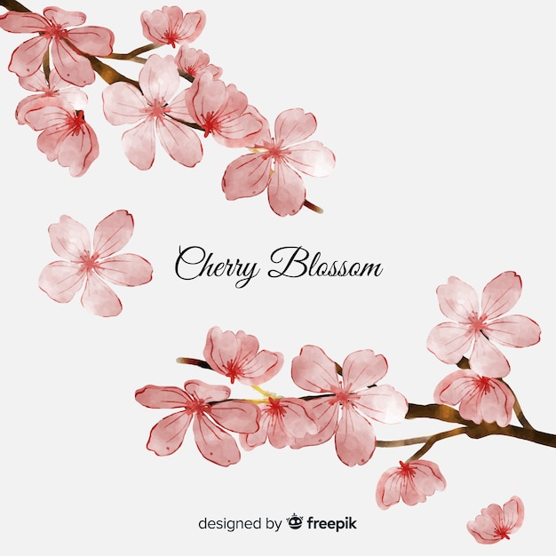 Cherry blossom background