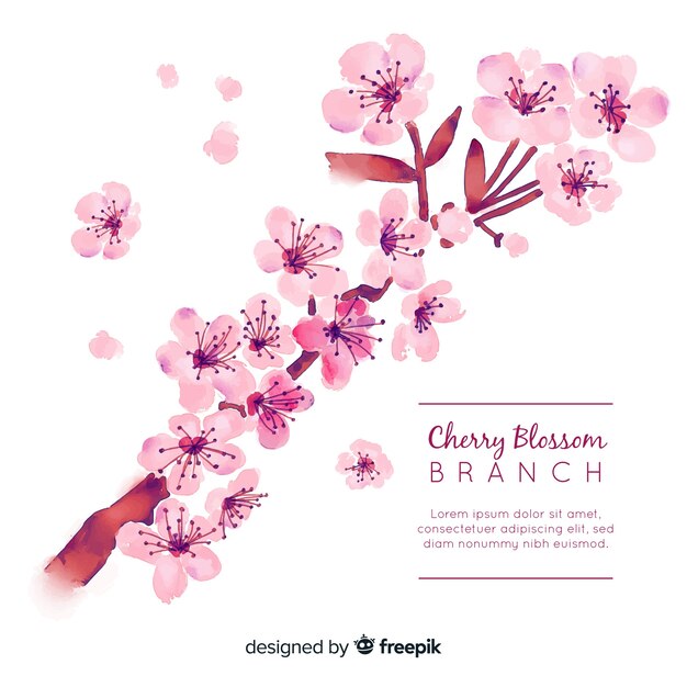 Cherry blossom background