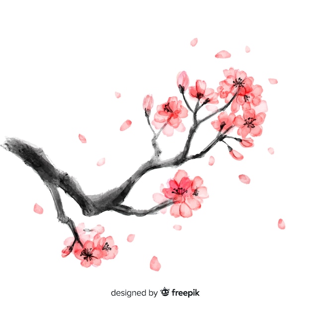 Free Vector cherry blossom background