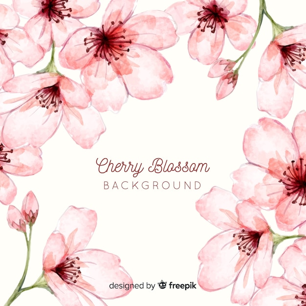 Free Vector cherry blossom background