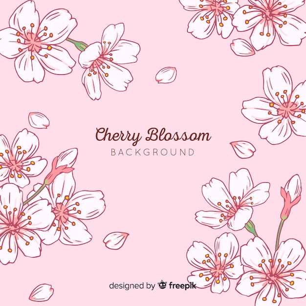 Cherry blossom background