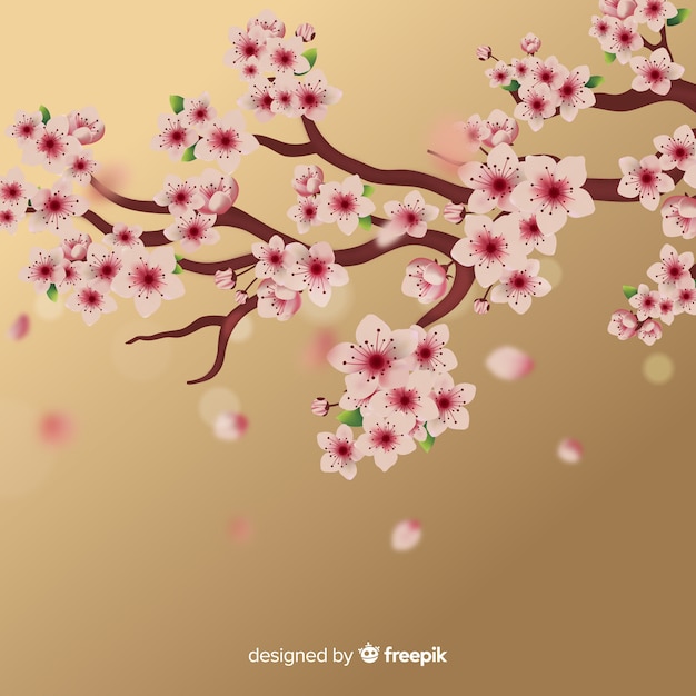 Cherry blossom branch background