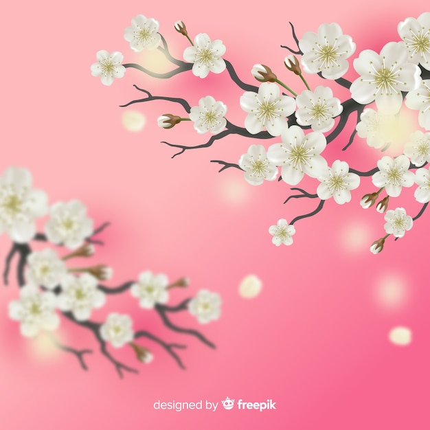 Cherry blossom branch background