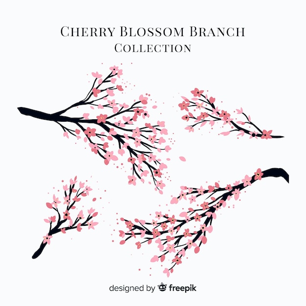 Cherry blossom branch collection