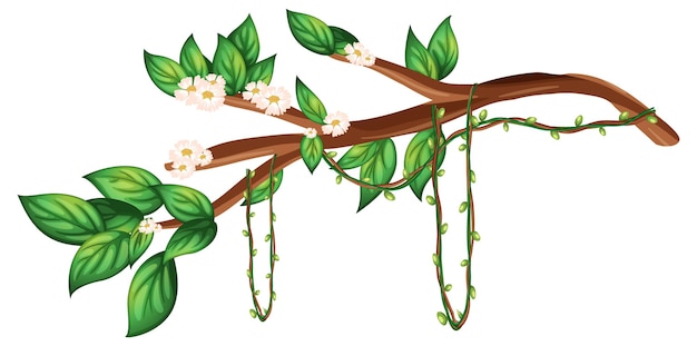 Free vector cherry blossom branch isolated