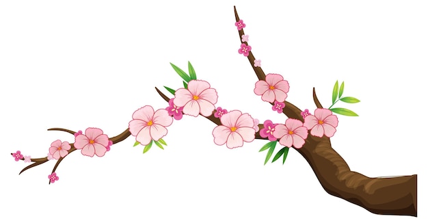 Free Vector cherry blossom branch isolated