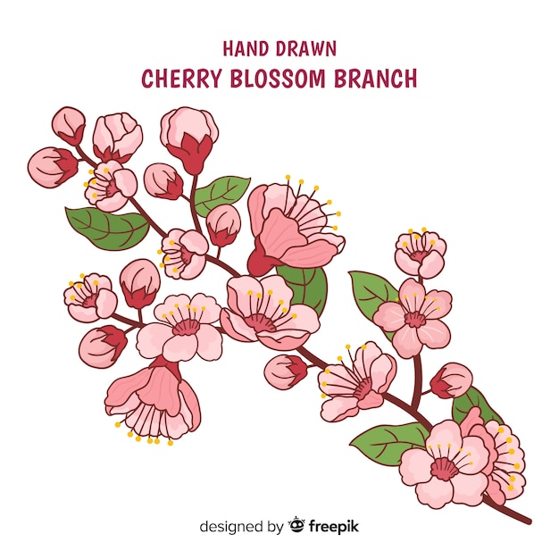 Cherry blossom branch