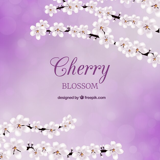 Cherry blossom card